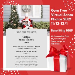 HBEF Virtual Santa Photos at Gum Tree